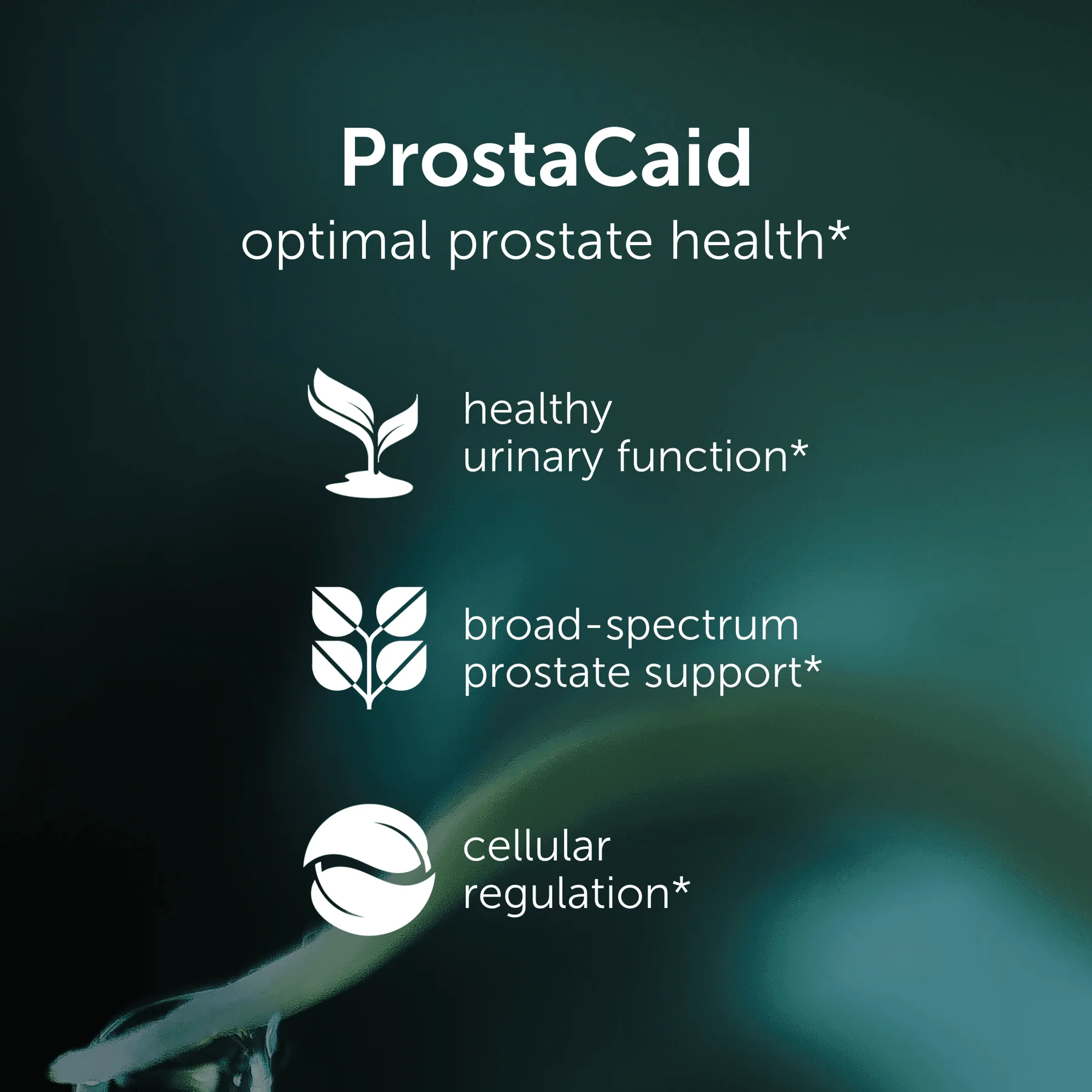 prostate health supplement